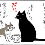 エサを食べない猫の4コマ猫漫画
