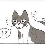 執拗に攻める毛づくろいの4コマ猫漫画