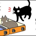 スーツケースにはいるネコ漫画