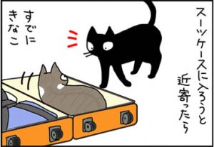 スーツケースにはいるネコ漫画