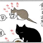 食べる速度の違う2匹の4コマ猫漫画