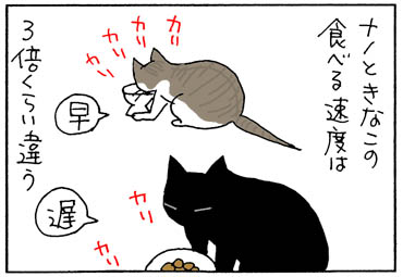 食べる速度の違う2匹の4コマ猫漫画