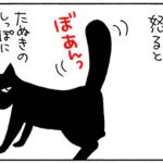 怒った猫のしっぽの4コマ猫漫画