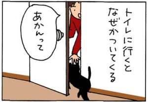トイレについてくる猫の4コマ猫漫画