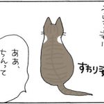 猫の後ろ姿が可愛い4コマ猫漫画