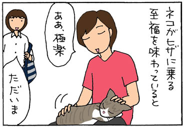 気遣いのできるネコの4コマ猫漫画