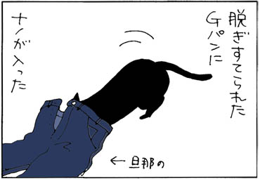 Gパンから出られない猫の猫漫画