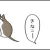 どんな名前出も返事する猫の4コマ猫漫画