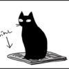 紙が好きな猫の4コマ猫漫画