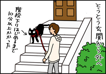 猫の散歩の4コマ猫漫画