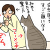 猫のフレーメン反応の4コマ猫漫画