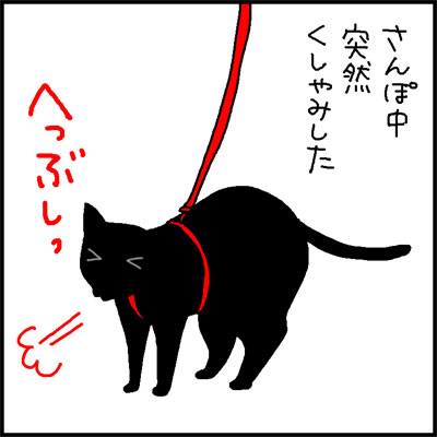 散歩中にパニックになる猫の4コマネコ漫画