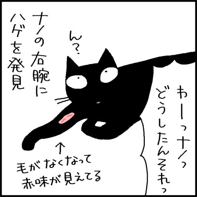 舐めすぎてハゲた猫の4コマネコ漫画