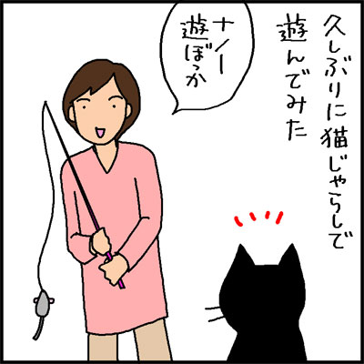 猫じゃらしで遊ばない猫の4コマ猫漫画