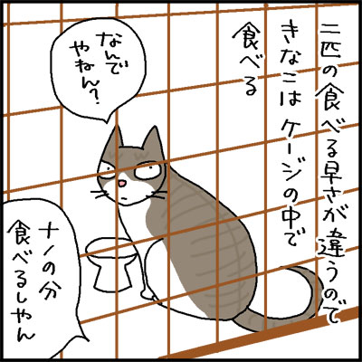 不信な目を向ける猫の4コマ猫漫画