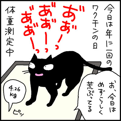 ワクチンを受ける猫の4コマ猫漫画