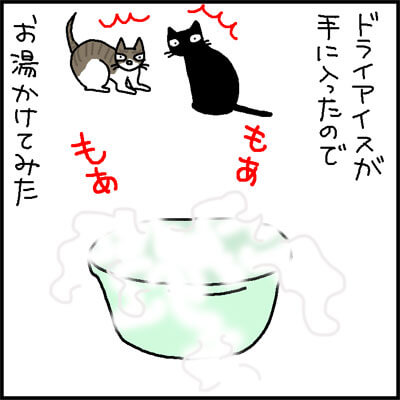ドライアイスに反応する猫の4コマ猫漫画