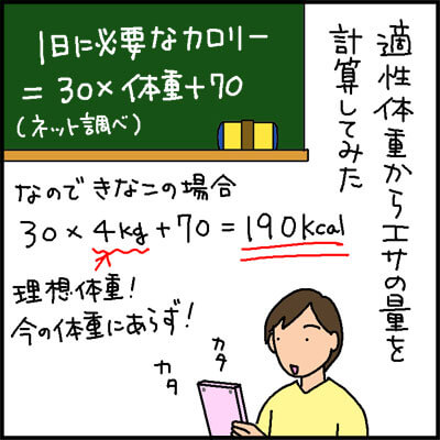 猫のダイエット1日の必要量を求める4コマ猫漫画