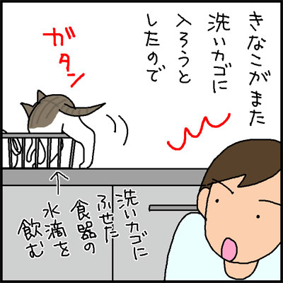 洗いかごに入る猫の4コマ猫漫画