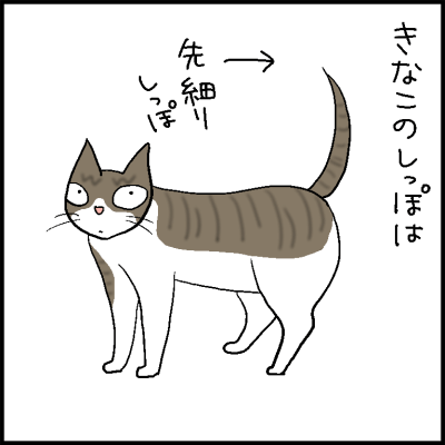 猫のしっぽの軟らかさの4コマ猫漫画