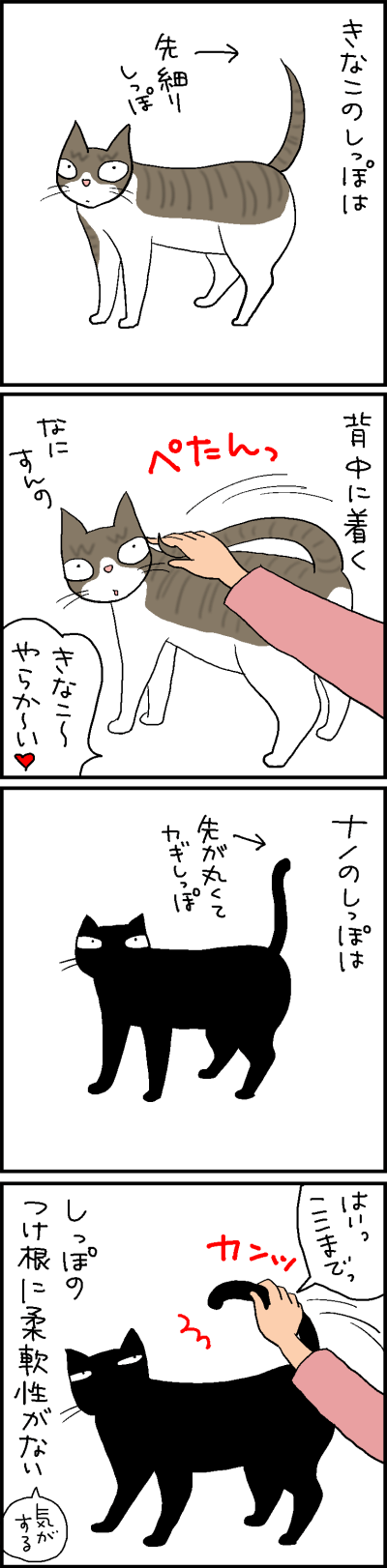 猫のしっぽの軟らかさの4コマ猫漫画