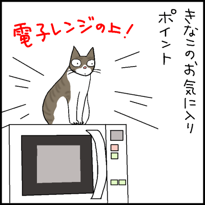 電磁波にゃん 4コマ猫漫画 ナノトクラス