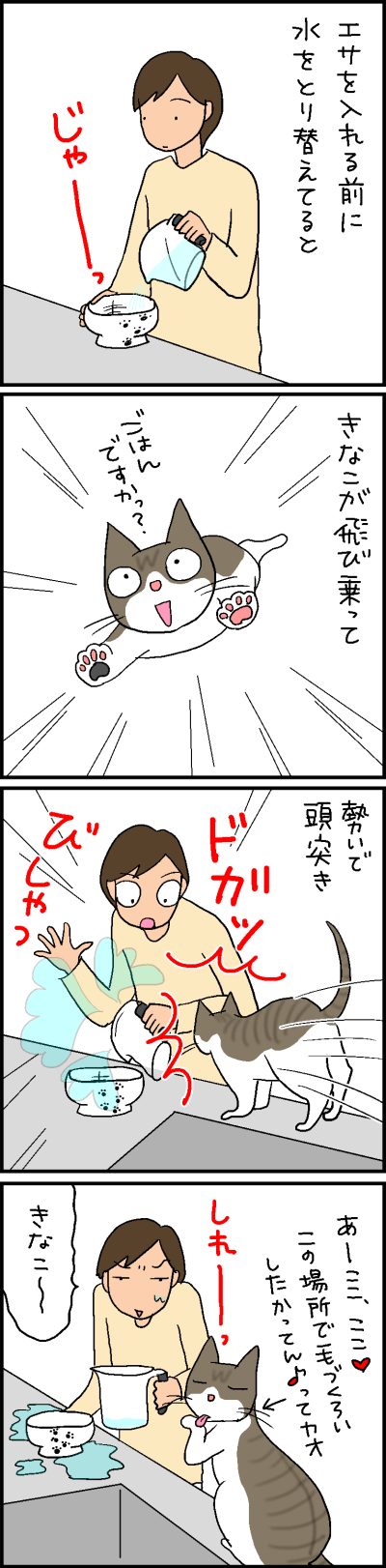 気まずいときは毛づくろい  4コマ猫漫画 ナノトクラス