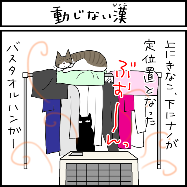 何があっても動じない猫の4コマ猫漫画