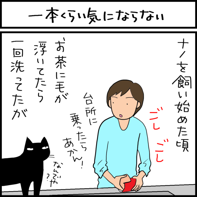 猫の毛がコップに入る4コマ猫漫画