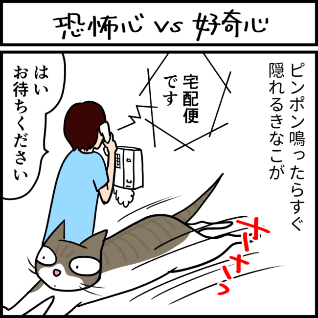 恐怖を克服した猫の4コマ猫まんが