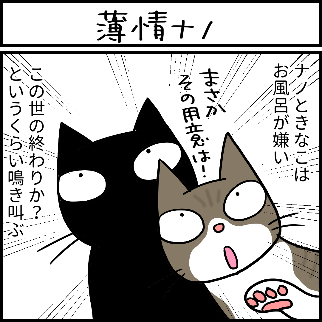 薄情な猫の性格の4コマ猫漫画