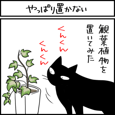 猫と観葉植物の4コマ猫まんが