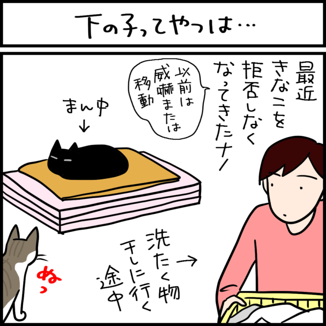 末っ子猫は天真爛漫な4コマ猫まんが
