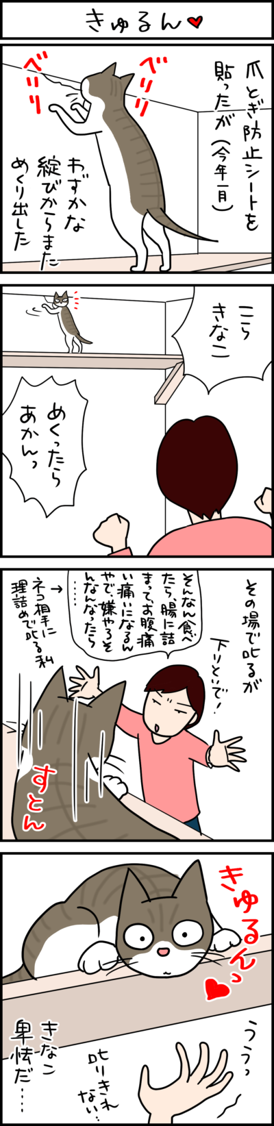きゅるん 4コマ猫漫画 ナノトクラス