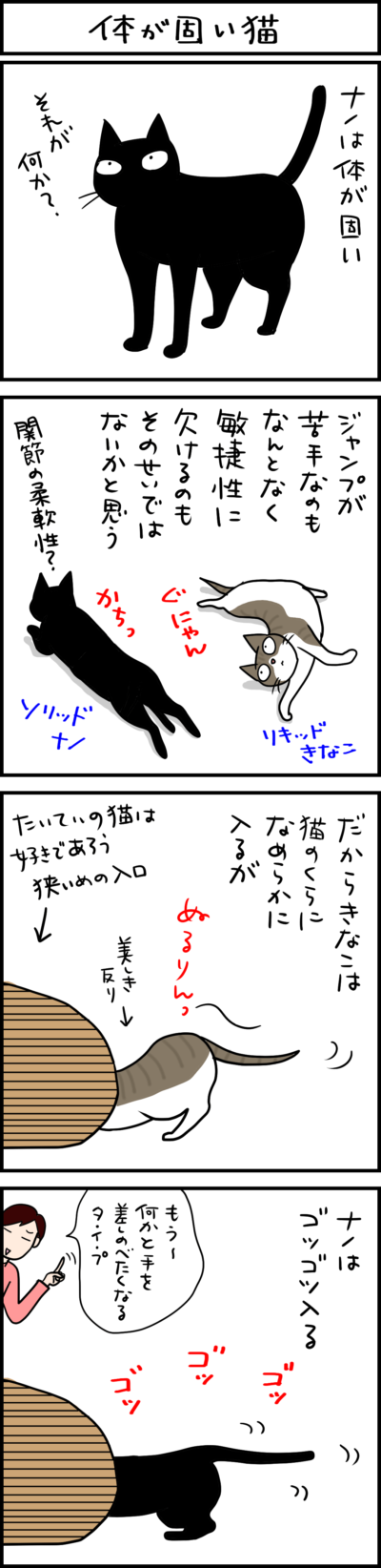 体が固い猫 4コマ猫漫画 ナノトクラス