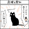 黒猫とキジシロ猫の4コマ漫画