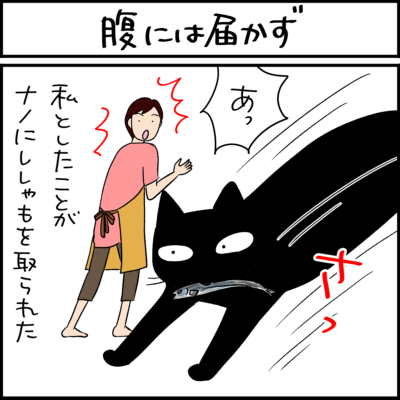 黒猫とキジシロ猫の4コマ漫画