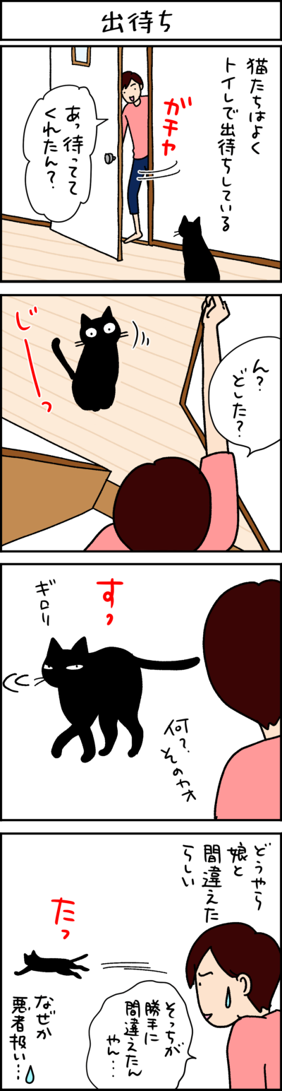 黒猫とキジシロ猫の4コマ猫漫画