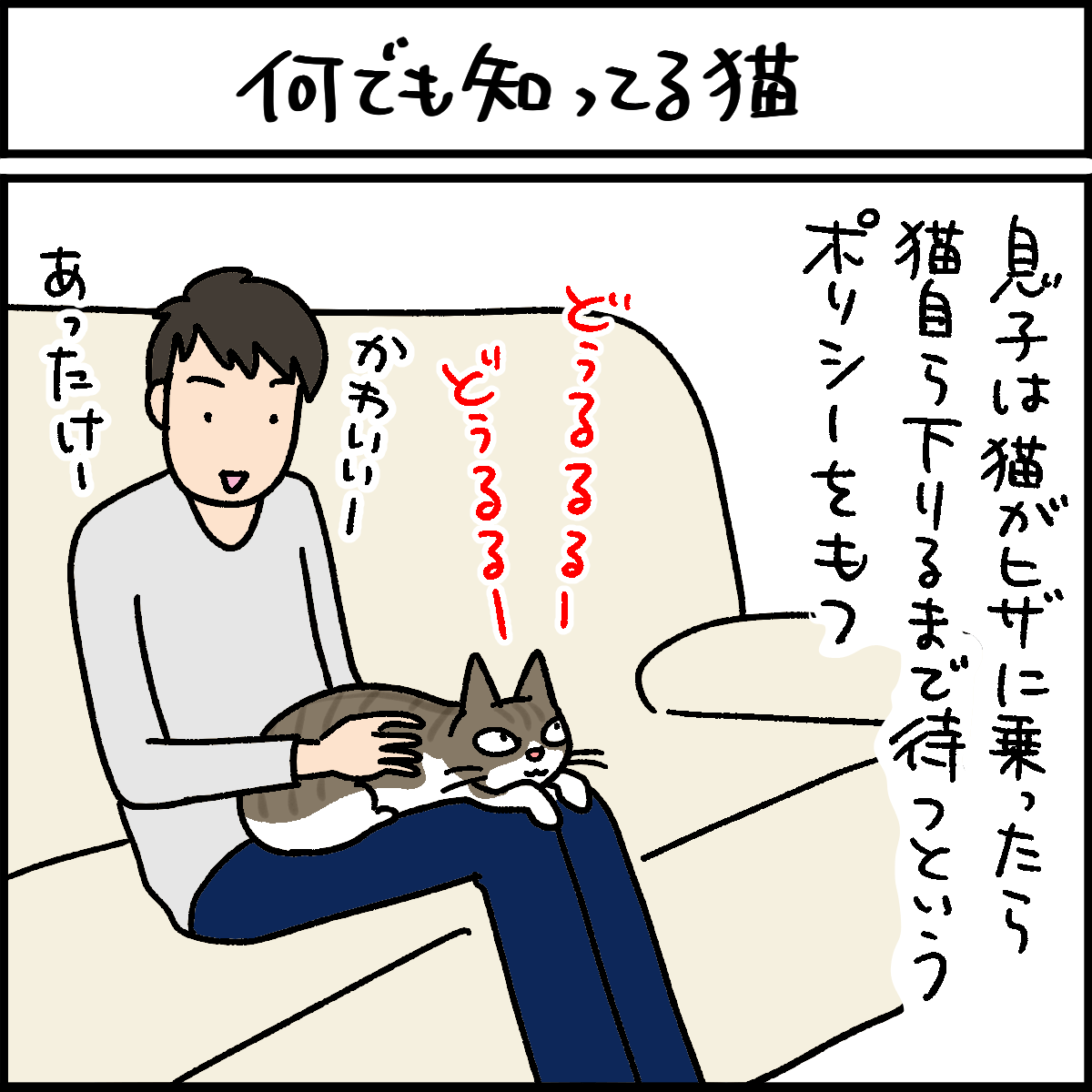 何でも知ってる猫 4コマ猫漫画 ナノトクラス