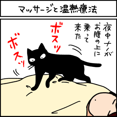 黒猫ナノとキジシロ猫きなこの4コマ猫漫画