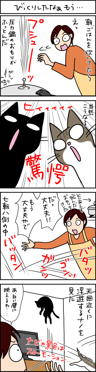 びっくりしたなぁもう 4コマ猫漫画 ナノトクラス