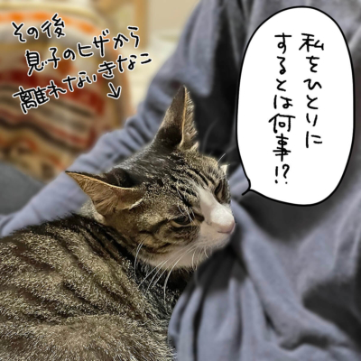 淋しがり屋のきなこ 4コマ猫漫画 ナノトクラス