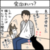 黒猫ナノとキジシロ猫きなこの4コマ猫漫画