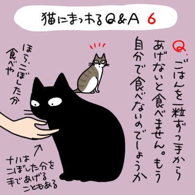 猫に関するQ&A漫画