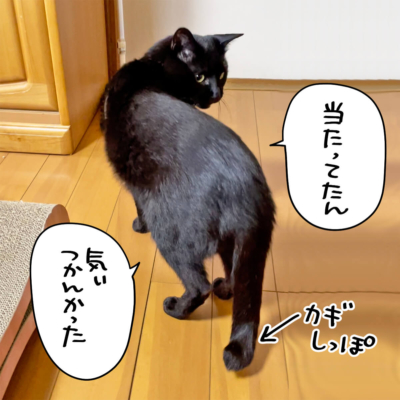 カギしっぽの黒猫ナノ