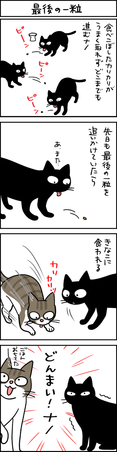 最後の一粒  4コマ猫漫画 ナノトクラス