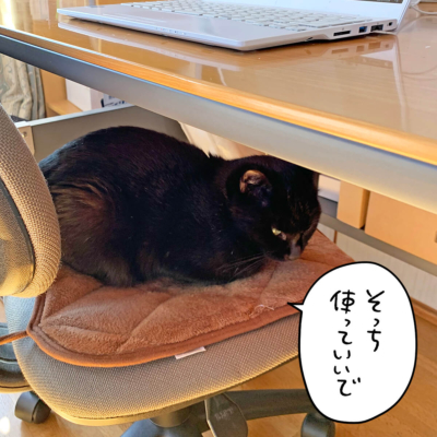 椅子の上に乗る黒猫ナノ