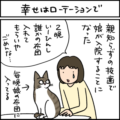 4コマ猫漫画 ナノトクラス 4コマ猫漫画 おっとり黒猫とお転婆キジシロを4コマで