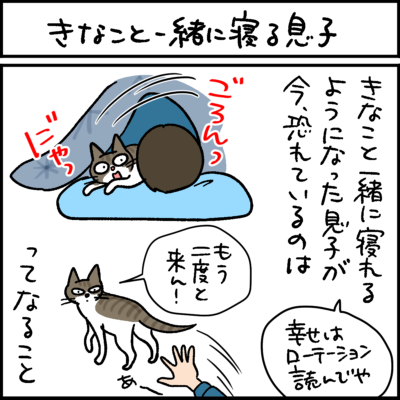 4コマ猫漫画 ナノトクラス 4コマ猫漫画 おっとり黒猫とお転婆キジシロを4コマで