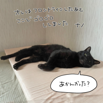 寝そべる黒猫ナノ
